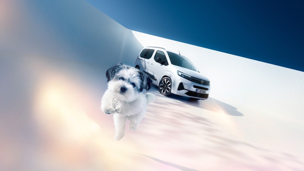 Преден страничен поглед на бел Opel Combо и куче